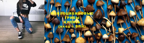jwh Апатиты
