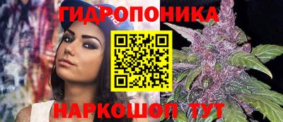 бошки Гусев