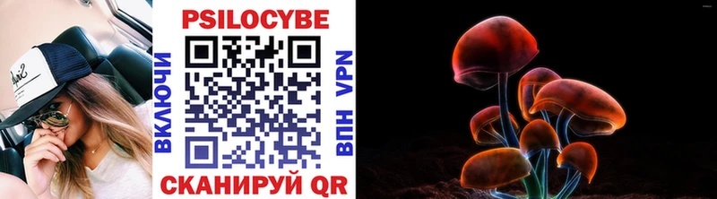 Псилоцибиновые грибы мухоморы  мориарти как зайти  Кизилюрт 
