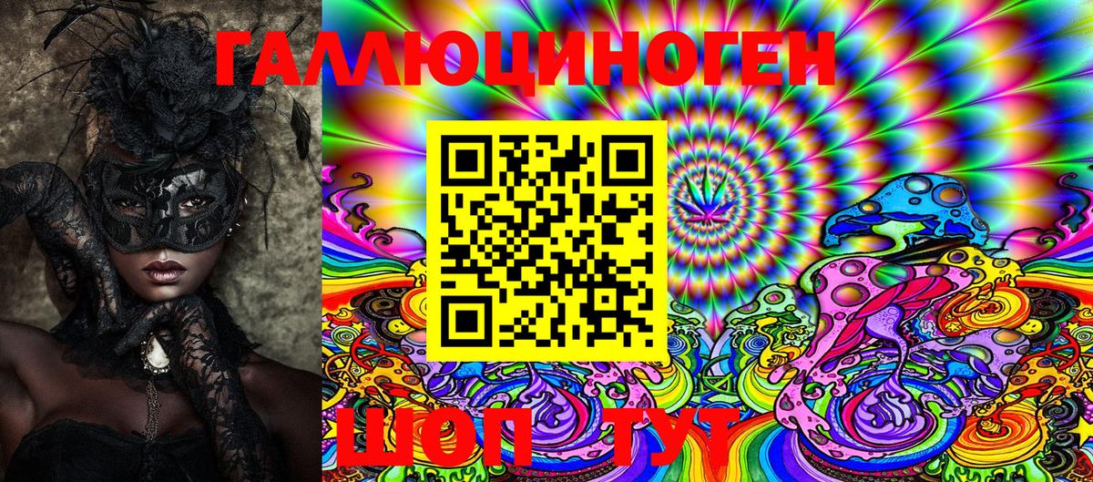 Кизилюрт  Псилоцибиновые грибы MAGIC MUSHROOMS  Вход с VPN 