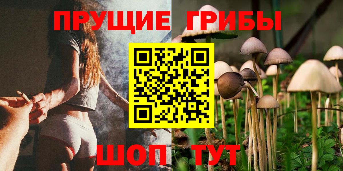 Галлюциногенные грибы GOLDEN TEACHER Кизилюрт