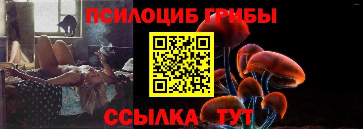 Псилоцибиновые грибы Psilocybe  Кизилюрт  Псилоцибиновые грибы мицелий 